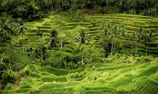 circuit-indonesie