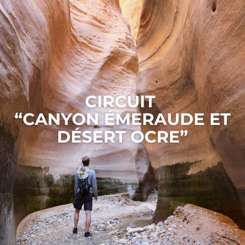 Circuit Jordanie entre seniors