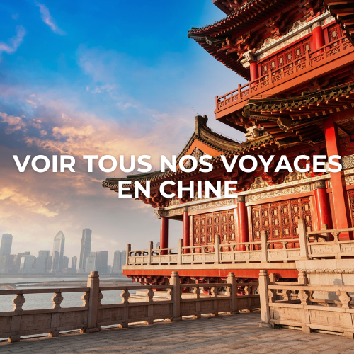 Circuit Chine entre seniors