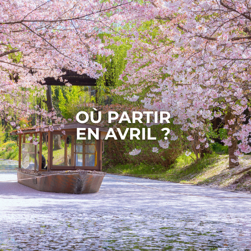 ou partir en avril entre solos