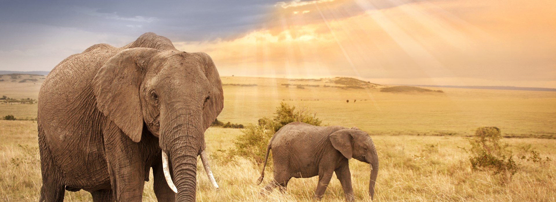 Nos voyages Kenya - Tanzanie