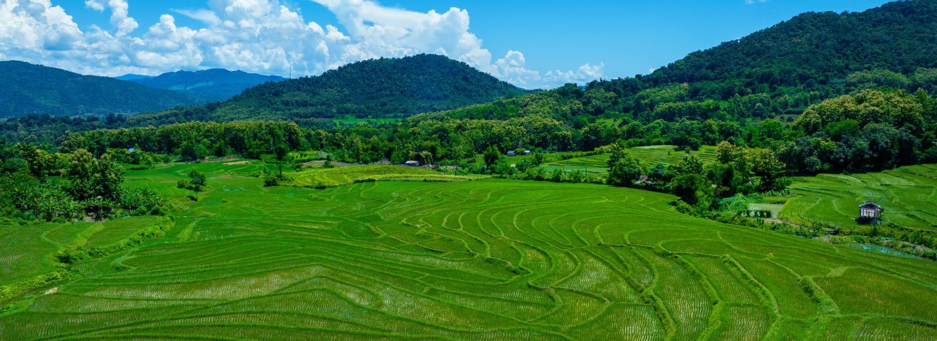 Carnet de voyage au Laos