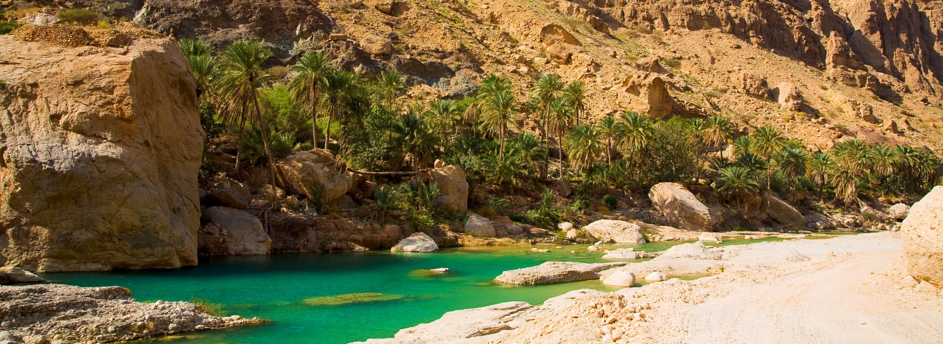 Visiter Le village de Tiwi - Oman