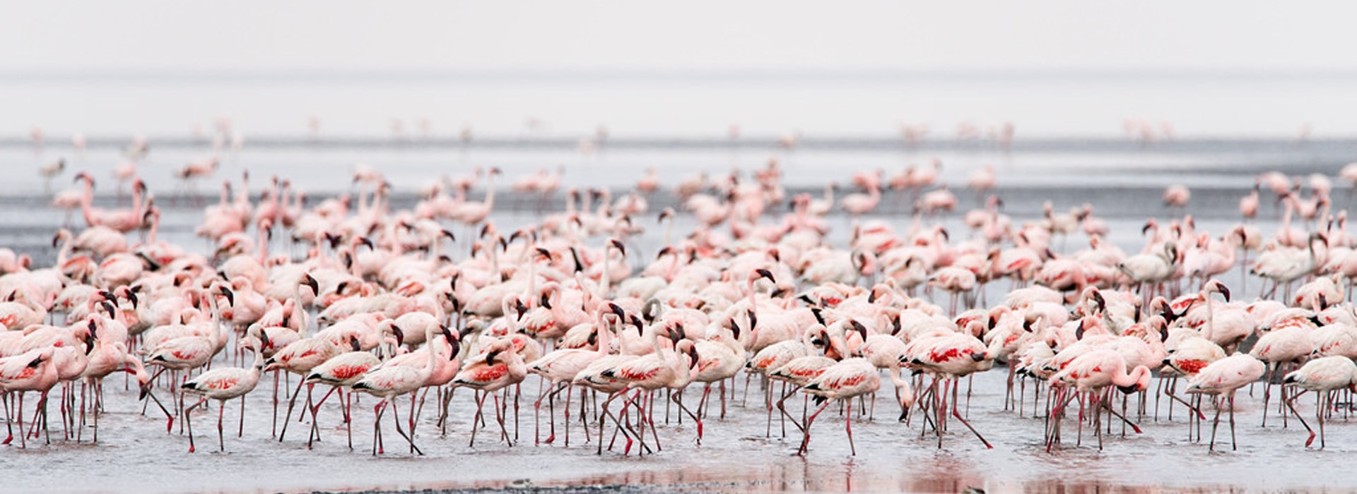 Visiter Le lac Natron - Tanzanie