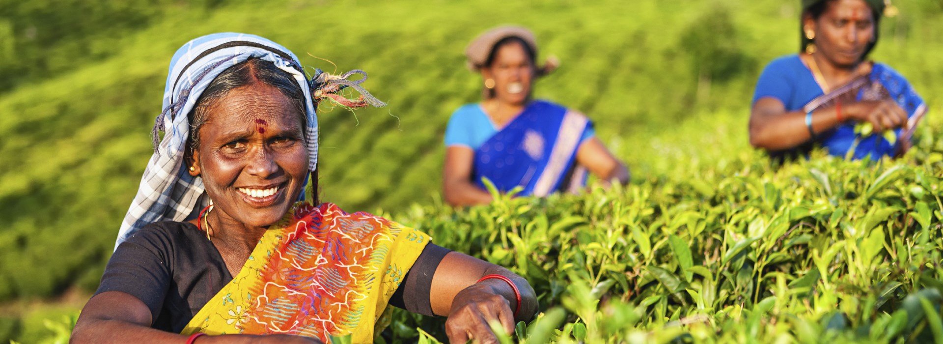 Visiter Le village de Medagama - Sri Lanka