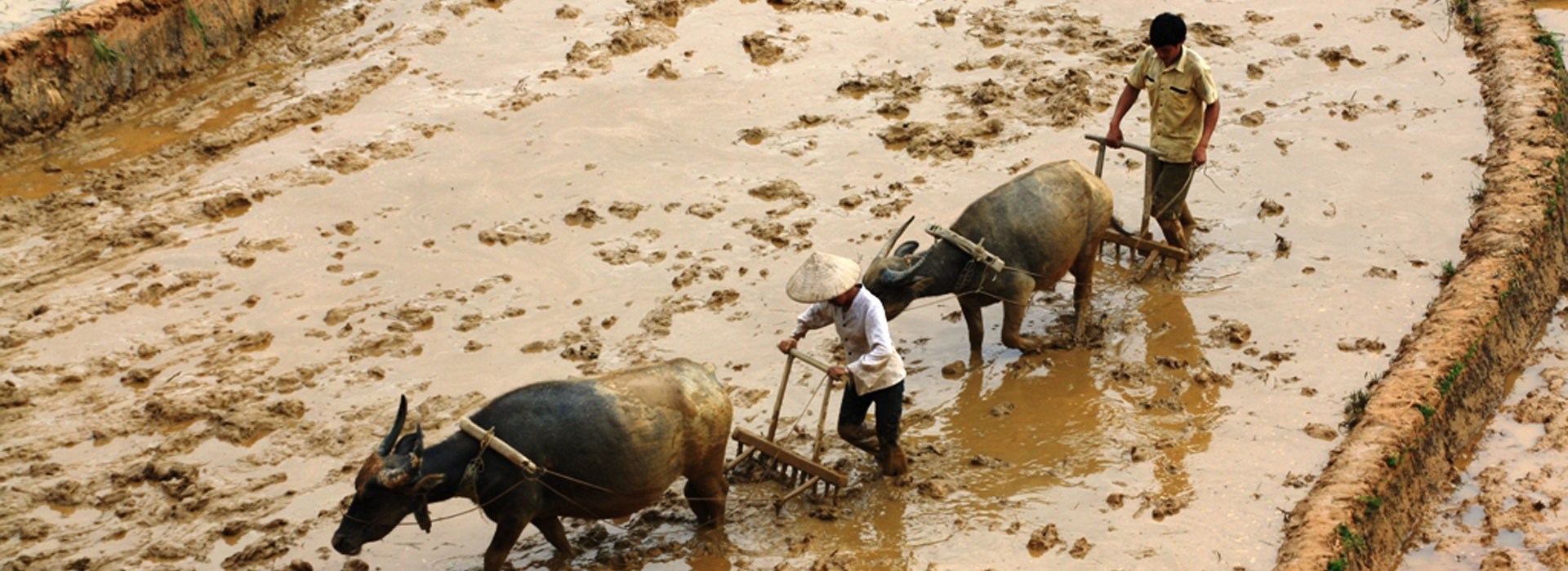 Visiter Chu Lin - Vietnam