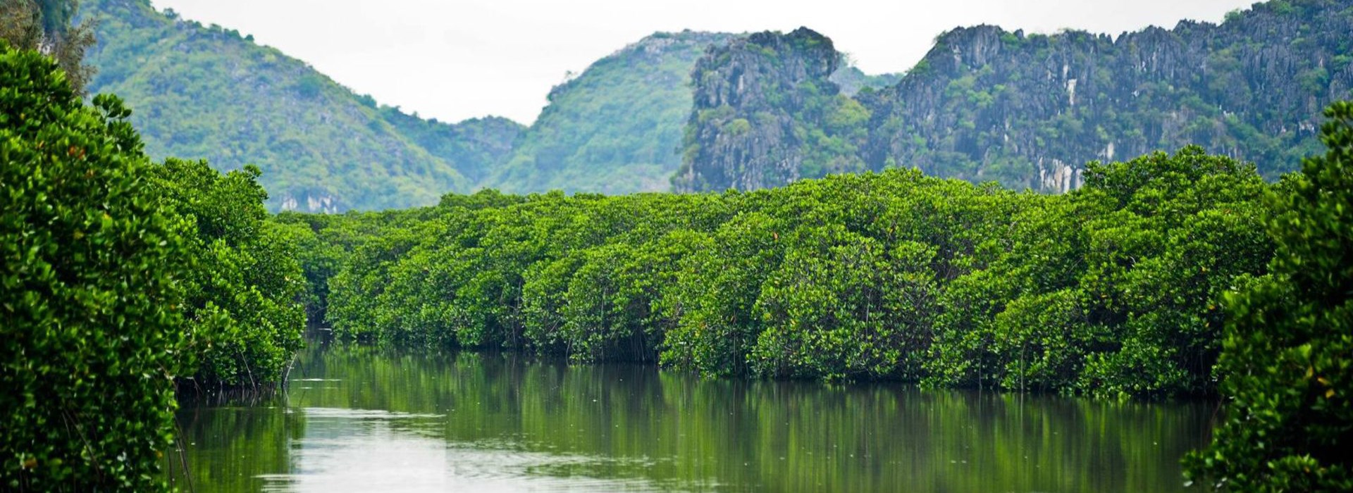 Visiter Phu Long (Vietnam) - Vietnam-Cambodge