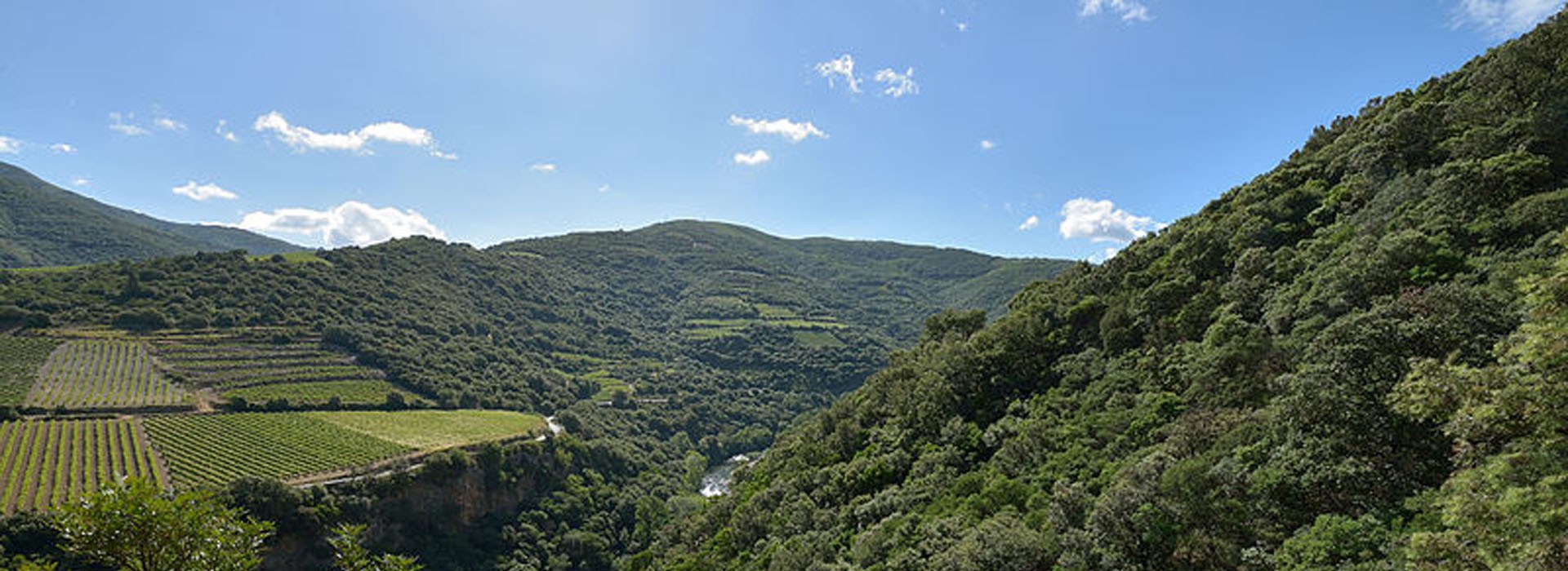 Visiter La vallée de Vieussan - Occitanie