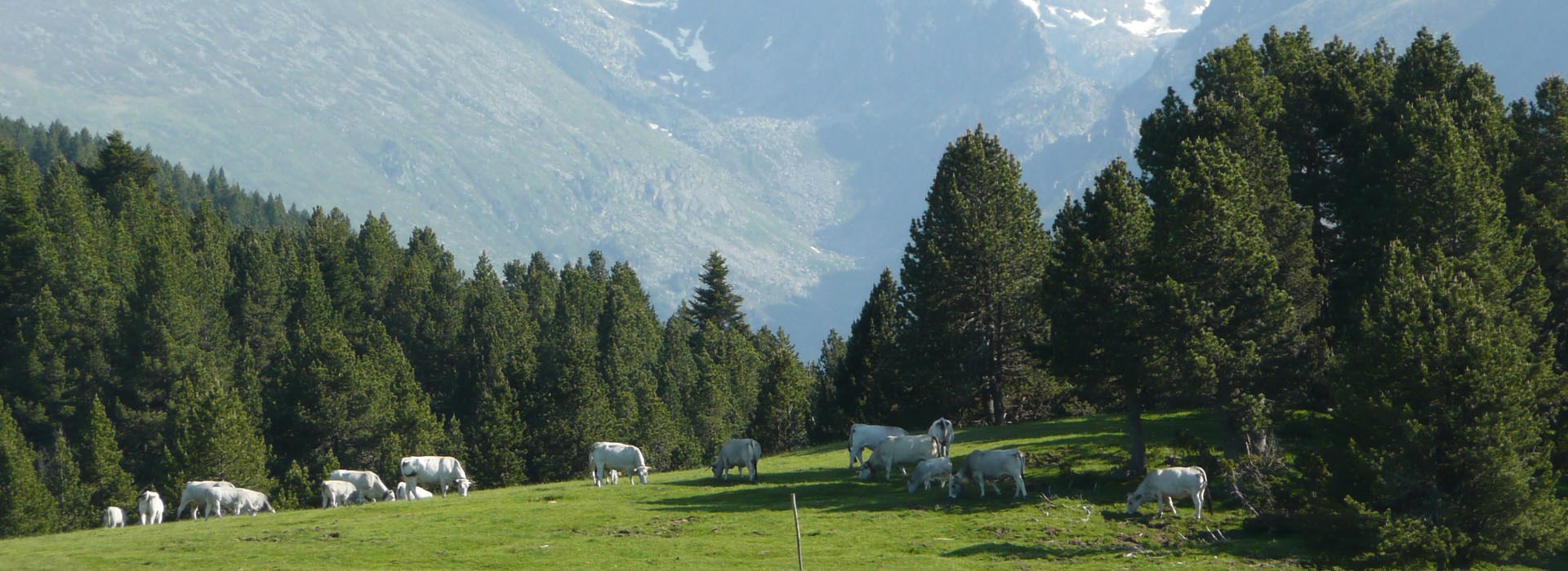 Visiter Le plateau de Beille  - Occitanie