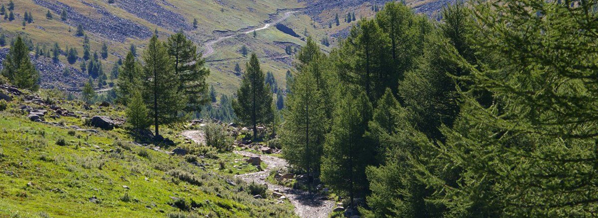 Visiter Le Parc National de Naiman Nuur - Mongolie