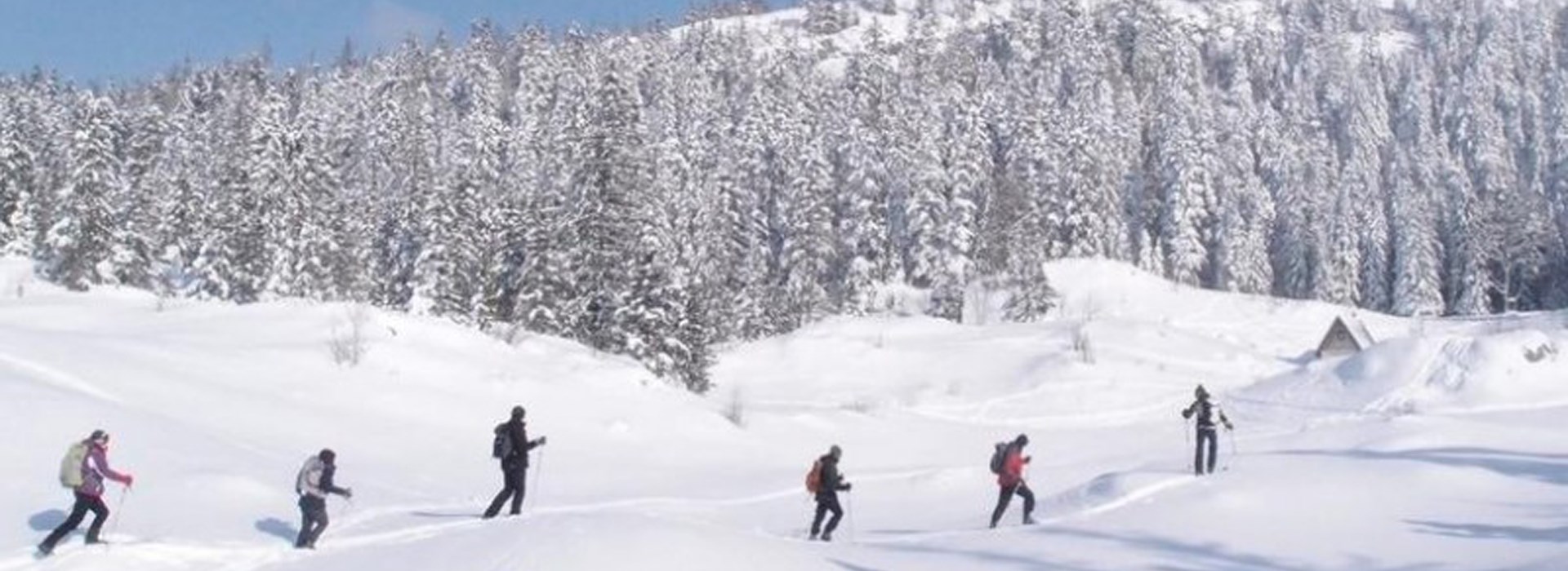 Visiter Le Vercors en ski de fond - Rhône-Alpes
