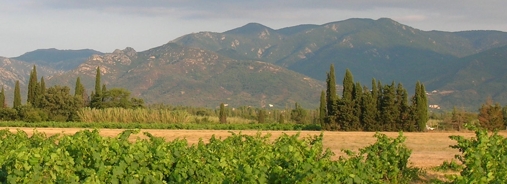 Visiter La Réserve Naturelle des Albères - Occitanie