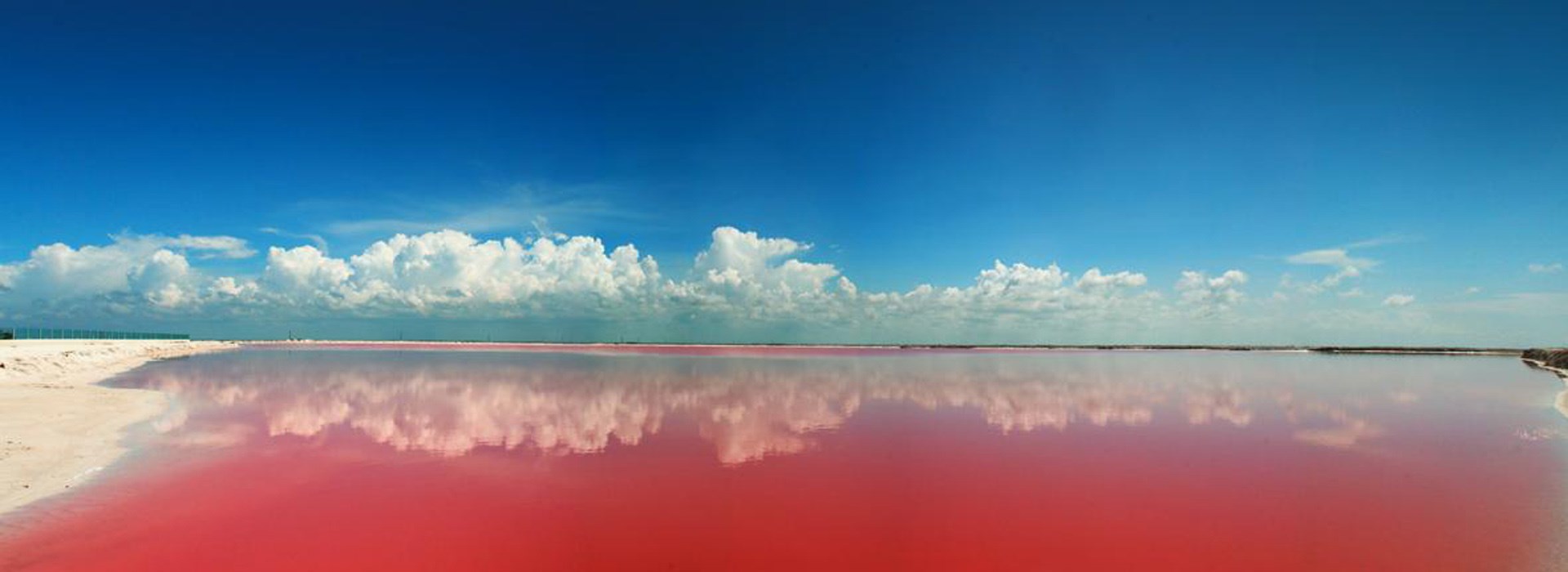 Visiter Le Parc Naturel de Rio Lagartos - Mexique