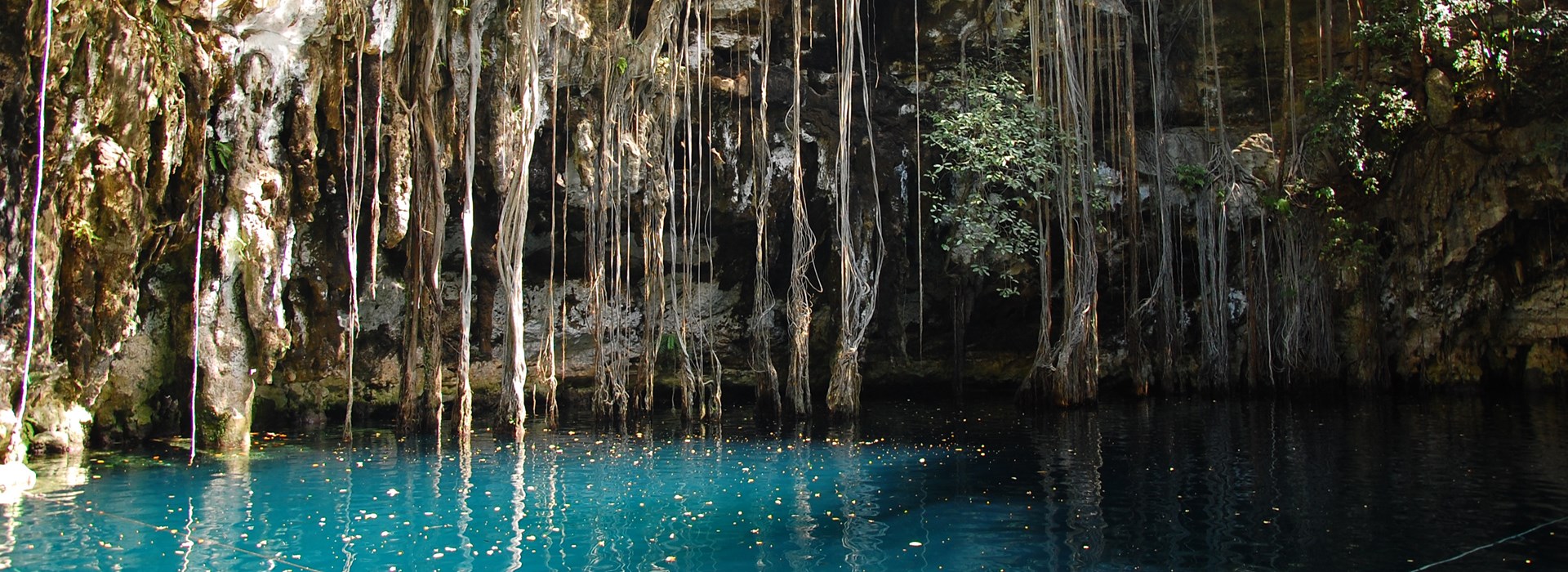 Visiter La Cenote de Yokdzonot - Mexique