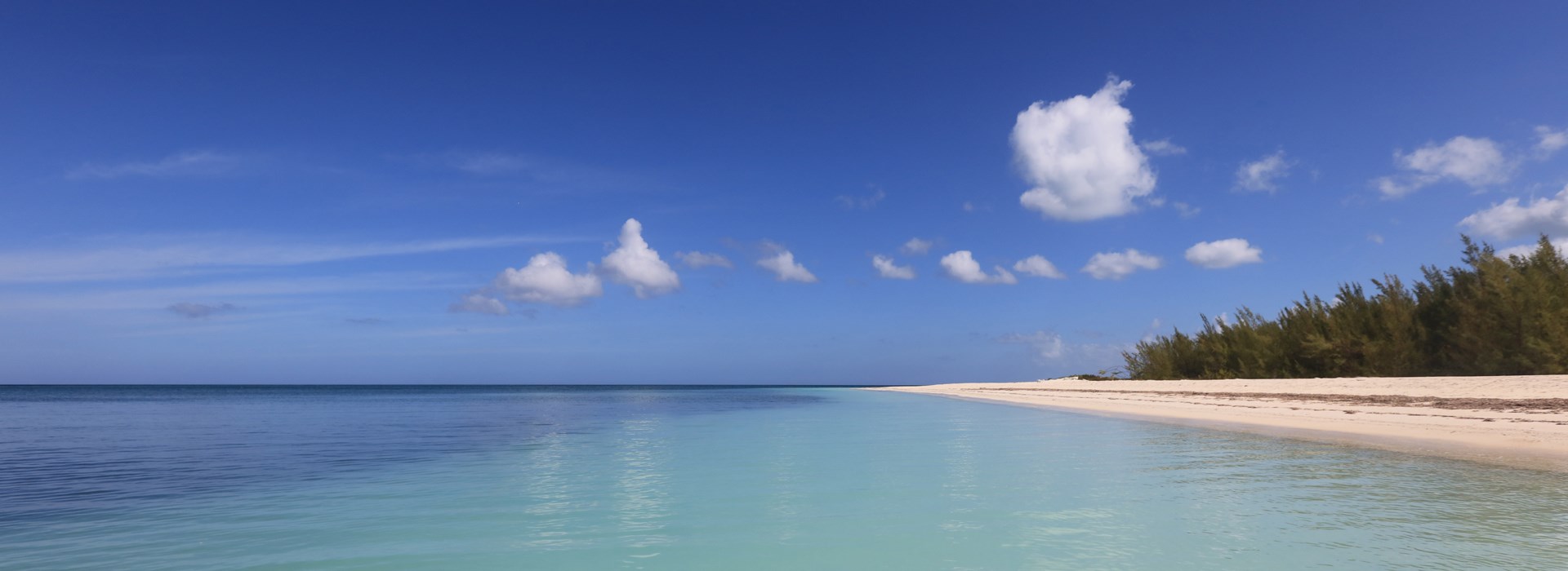 Visiter Cayo Jutias - Cuba