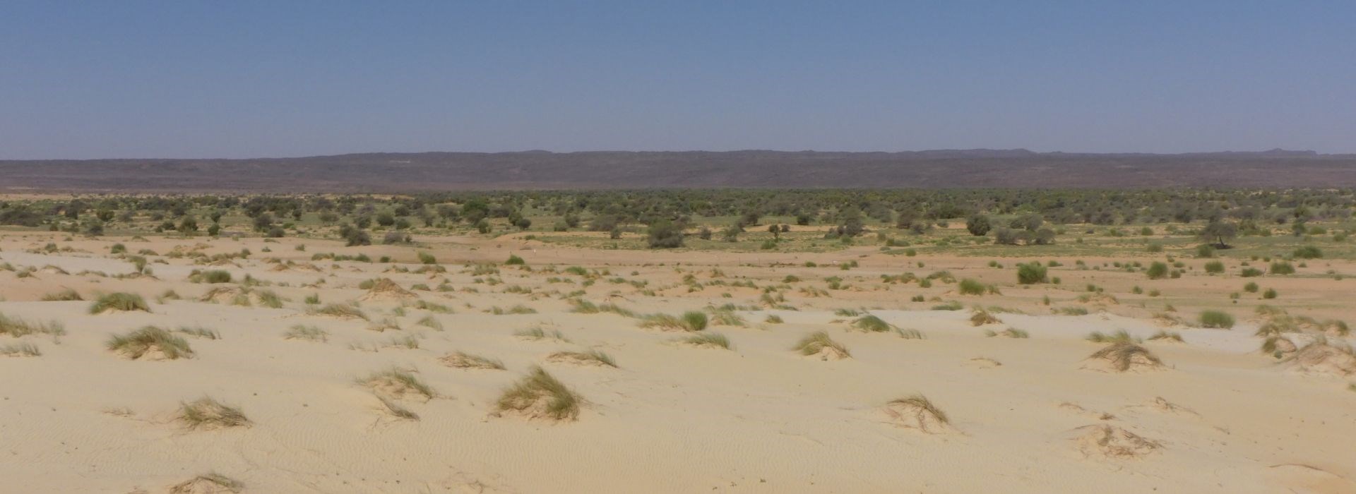 Visiter L'Erg Amatlich - Mauritanie