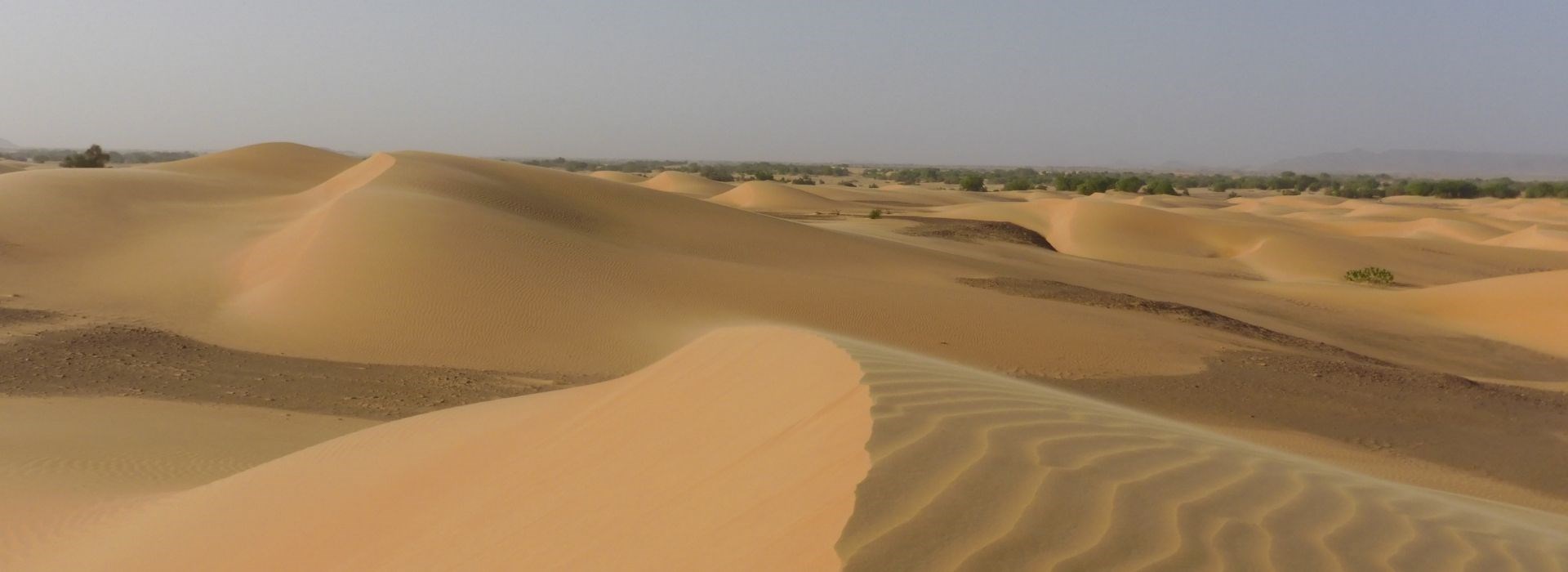 Visiter L'Erg Le Meileh - Mauritanie