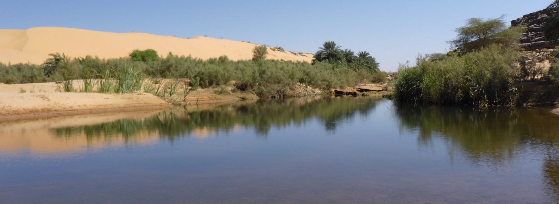 Visiter L'Oasis El Gleitat - Mauritanie