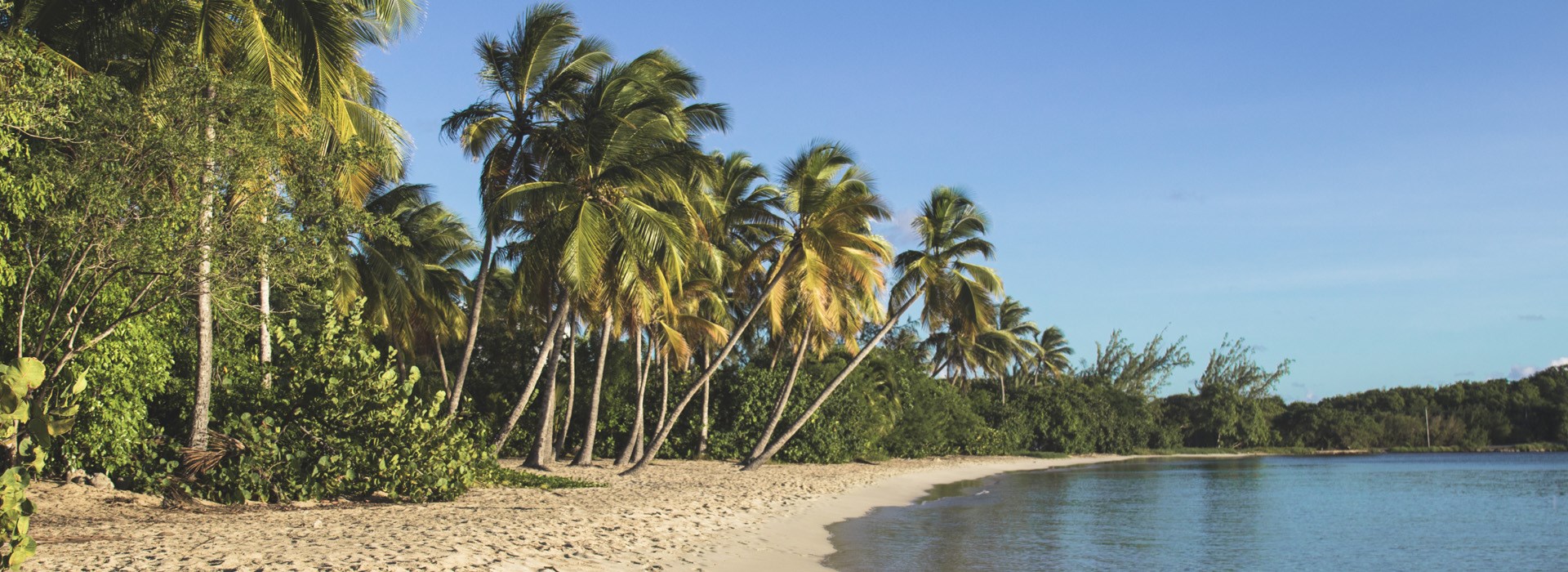 Visiter La Plage de Grande Anse des Salines - Martinique