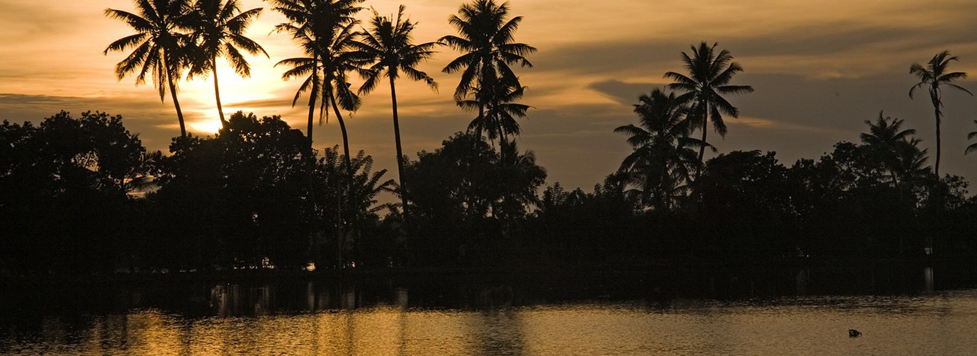 Visiter Alleppey - Inde