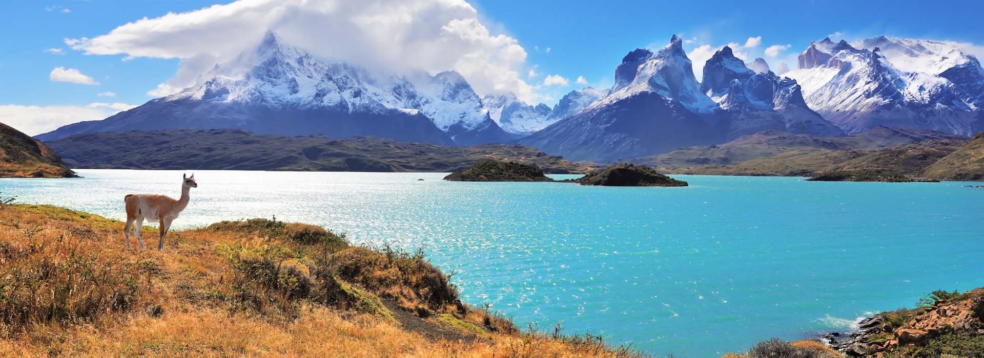 Visiter Le Parc National Torres del Paine - Argentine