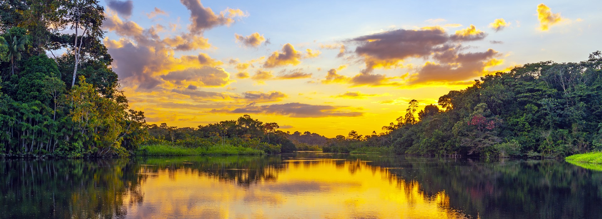 Visiter Le lac Janauari - Brésil