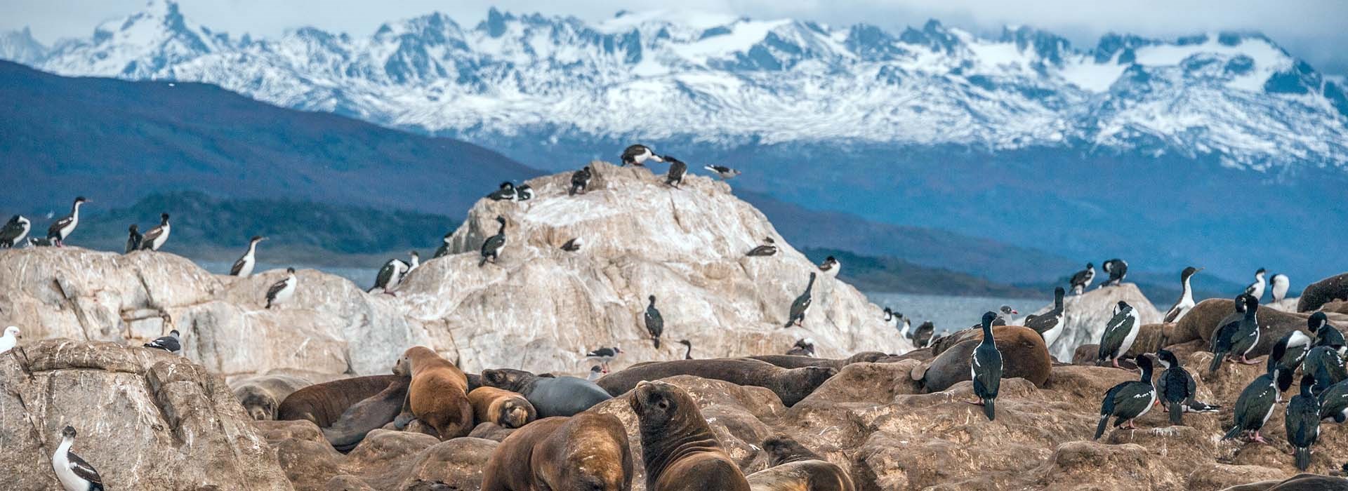 Visiter Le Canal de Beagle - Argentine