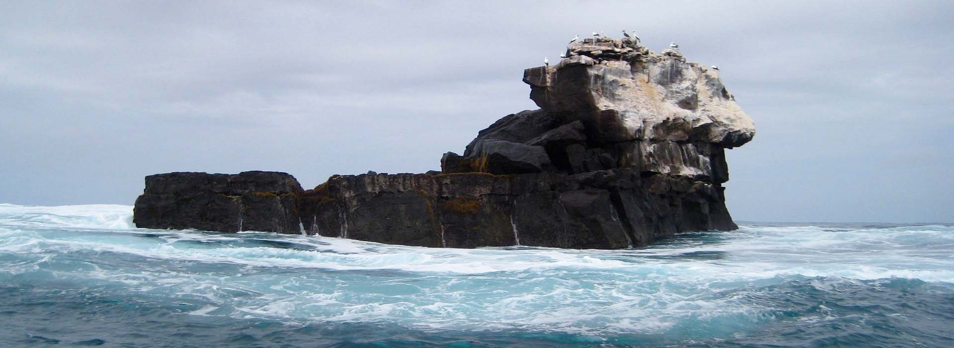 Visiter Les îles Palomino - Pérou