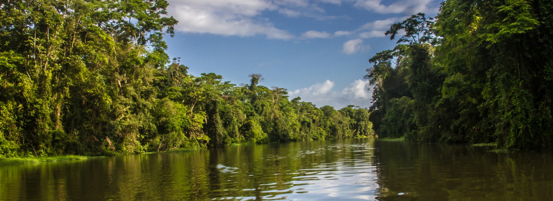 Visiter Le parc national de Tortuguero - Costa Rica