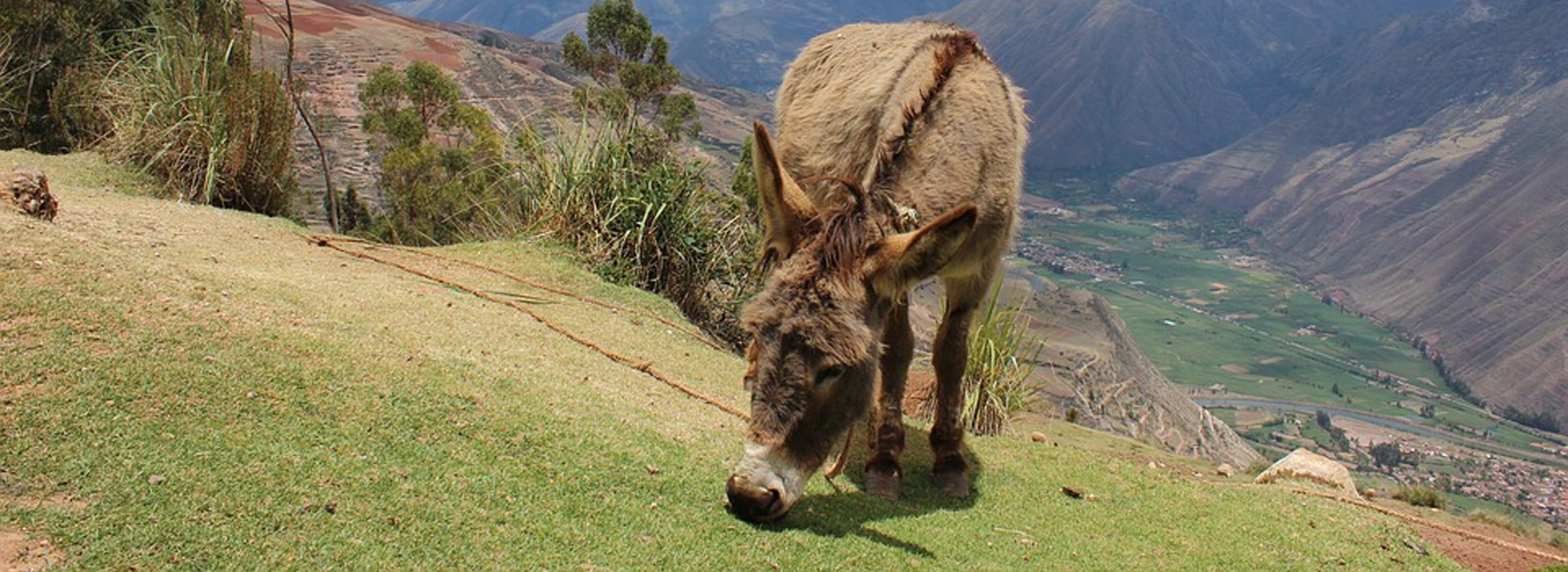 Visiter Misminay - Pérou