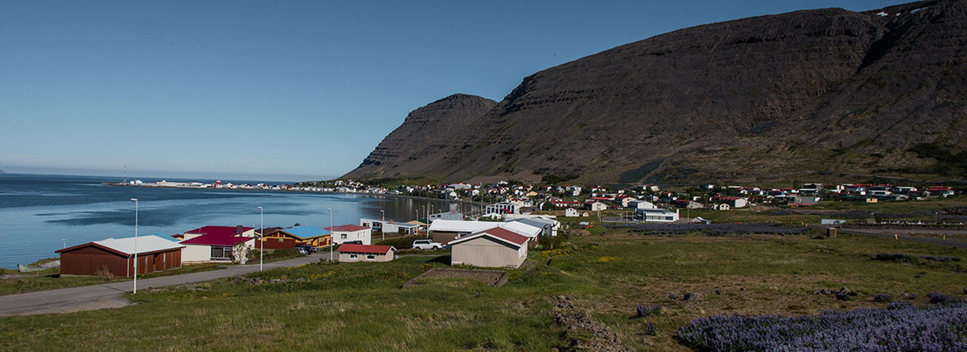 Visiter Patreksfjordur - Islande