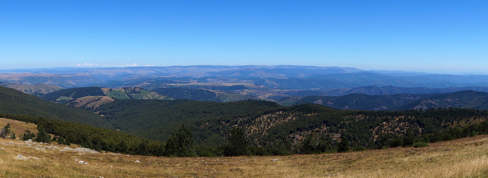 Visiter Le mont Aigoual - Occitanie