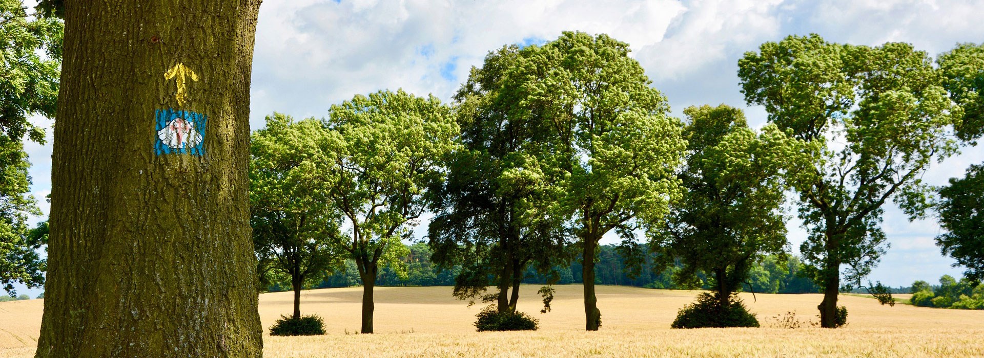 Visiter Le Chemin de Saint Jacques de Compostelle  - Nouvelle-Aquitaine