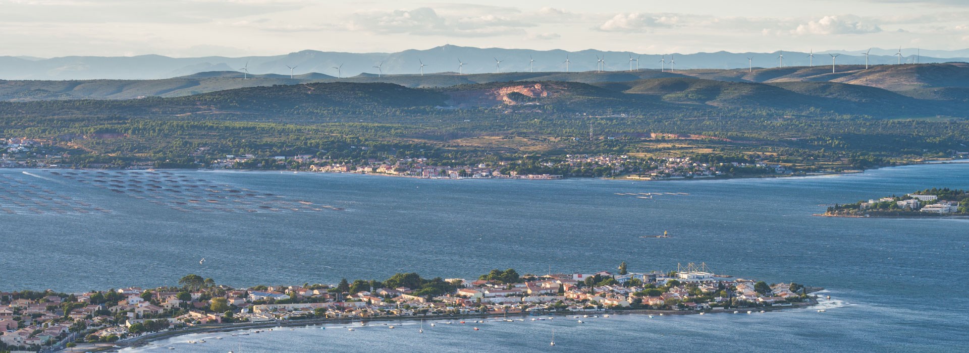 Visiter Le bassin de Thau - Occitanie