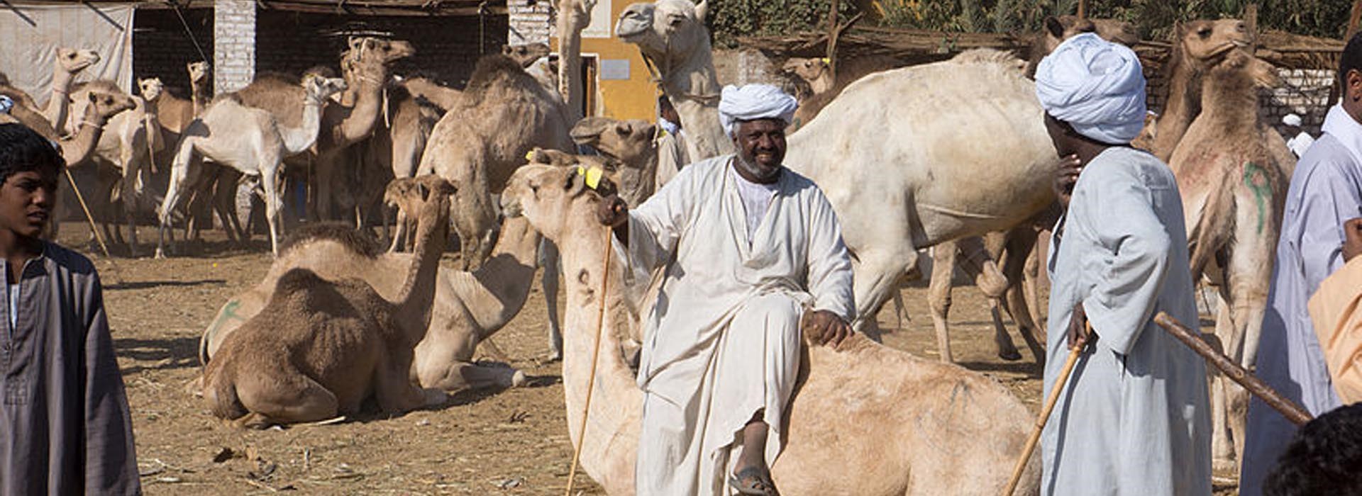 Visiter Le Marché de Daraw - Egypte