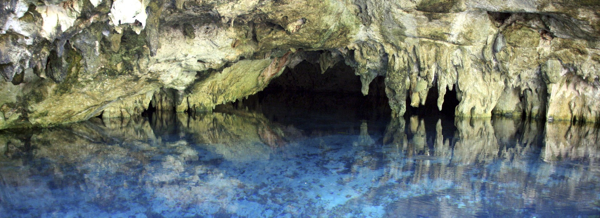 Visiter Les Cenotes de Cuzama - Mexique