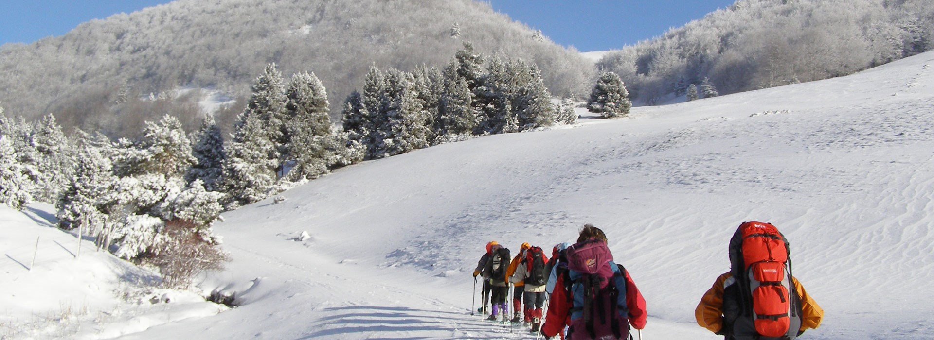 Visiter Le Vercors en raquettes - Rhône-Alpes