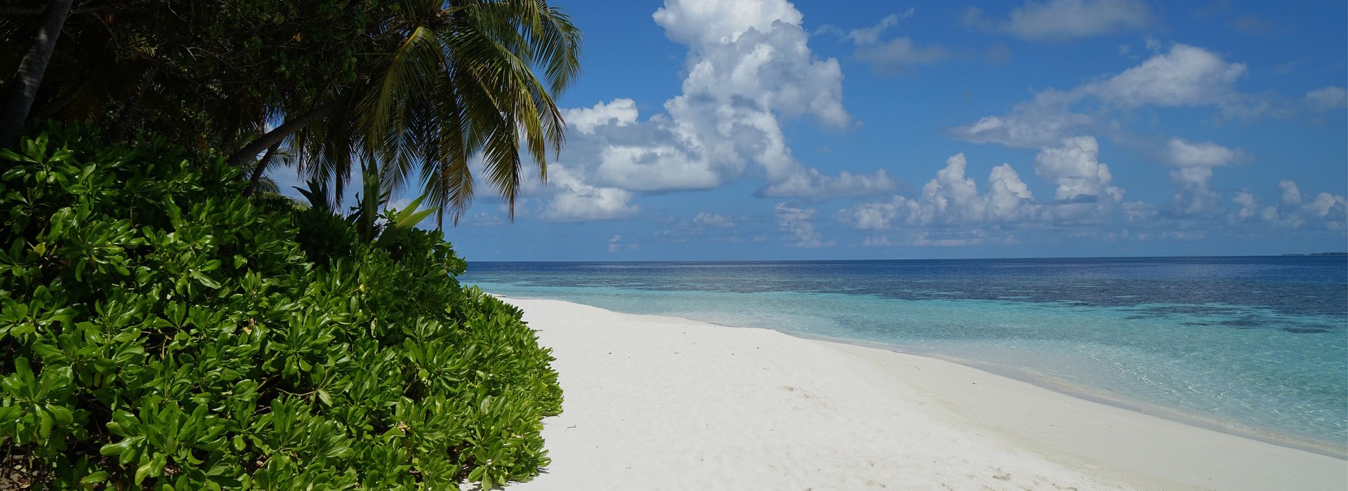 Visiter La Randonnée Aquatique - Rodrigues