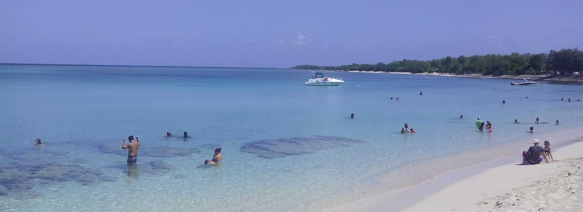 Port Louis: Alerte aux méduses - Guadeloupe la 1ère