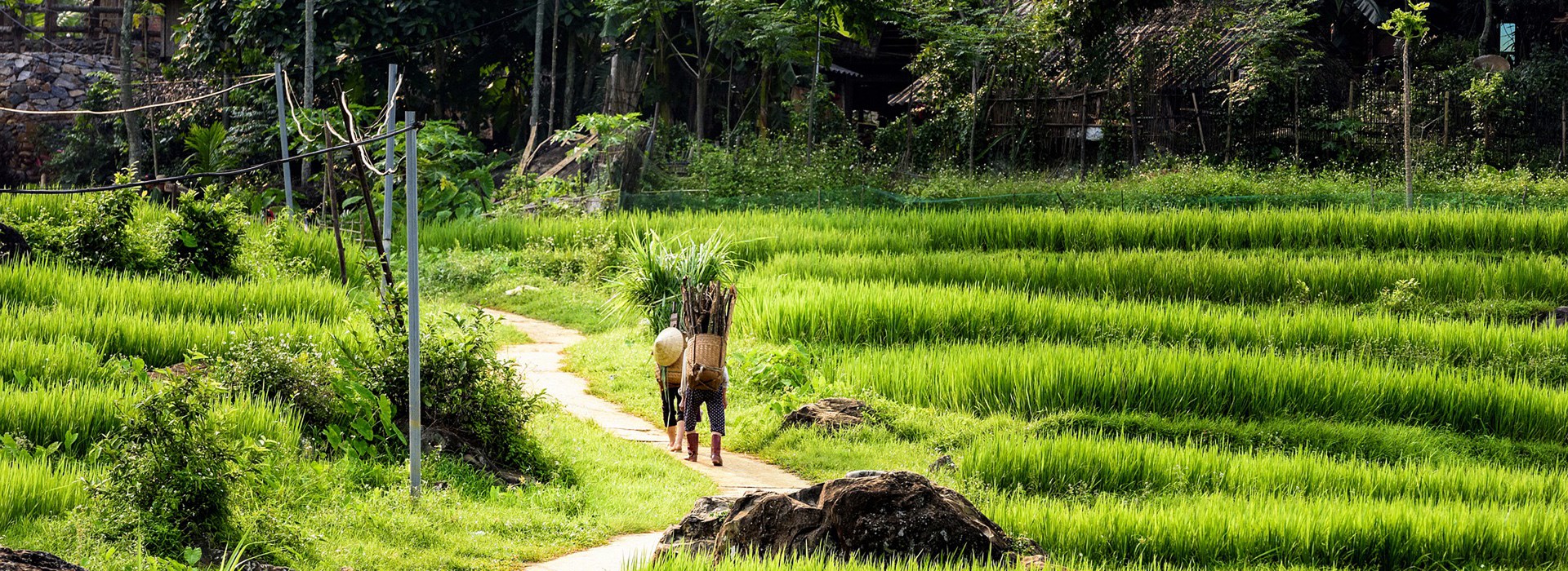 Visiter La Réserve Naturelle de Pu Luong - Vietnam