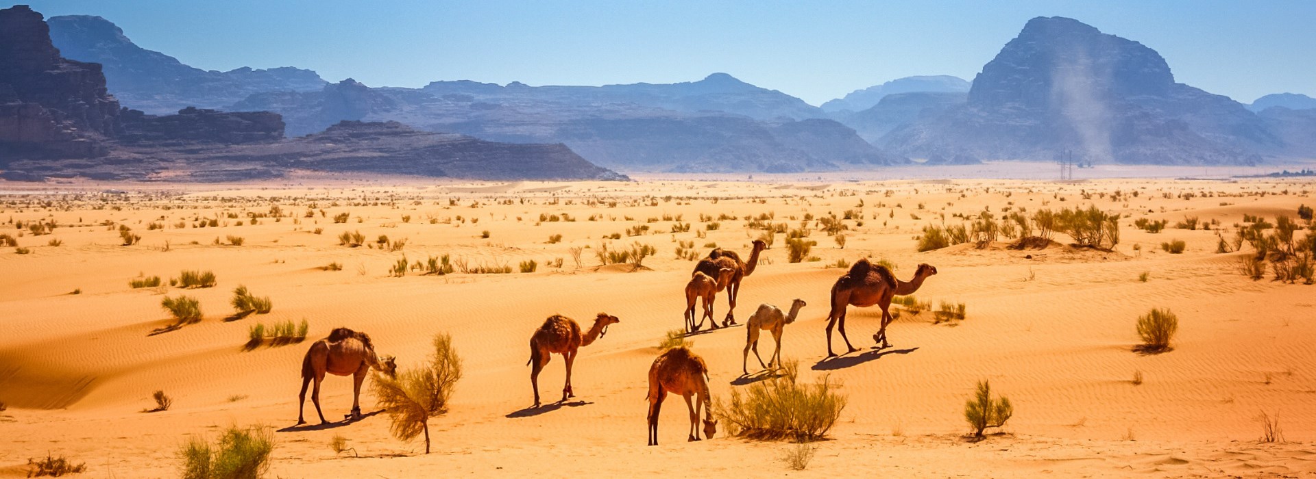 Visiter Wadi Rum - Jordanie