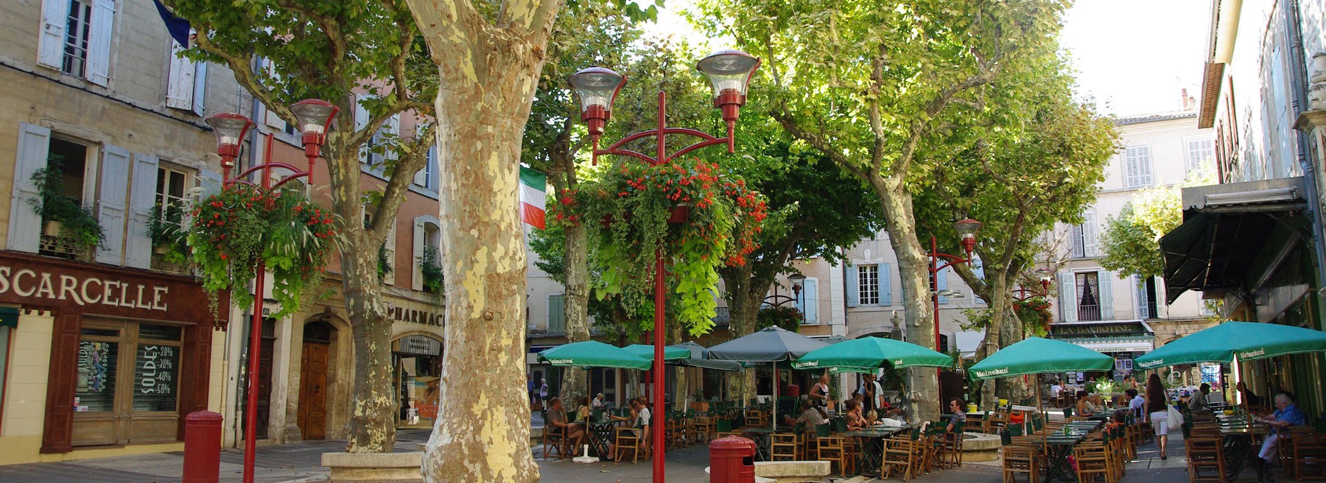 Visiter Manosque - Provence
