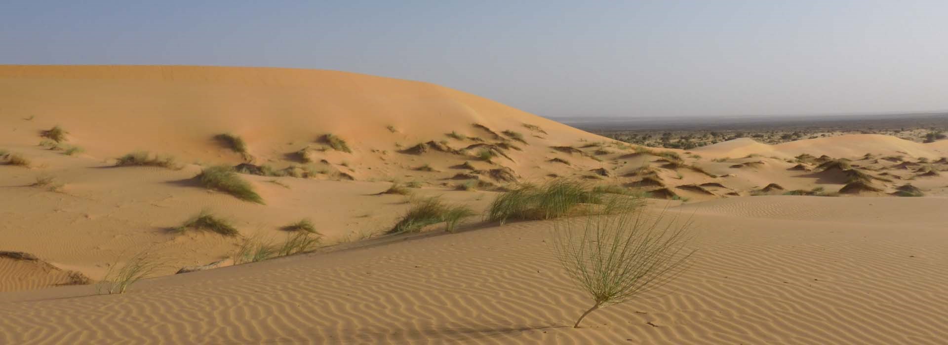 Visiter Rghewiya - Mauritanie