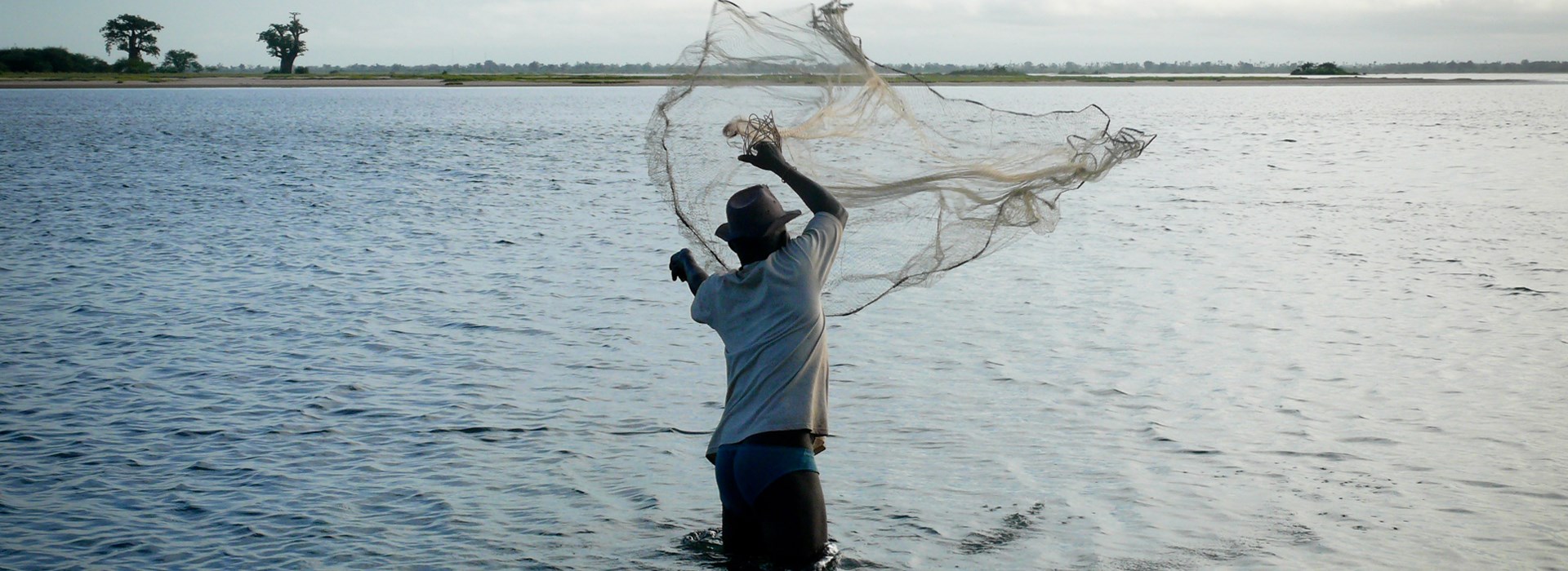 Visiter Sine Saloum - Sénégal