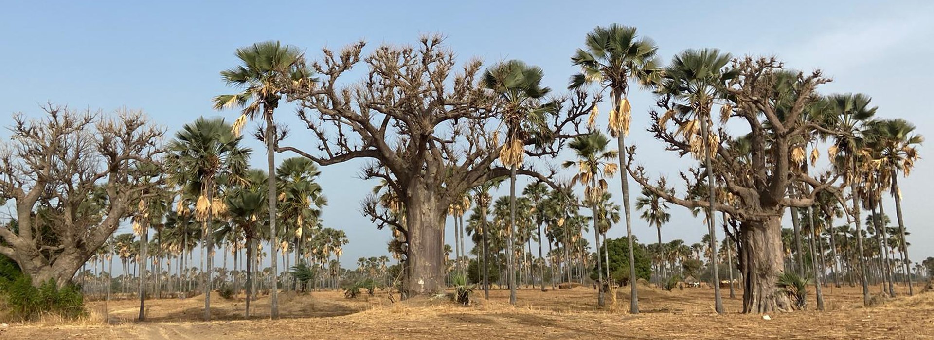 Visiter Yayem - Sénégal