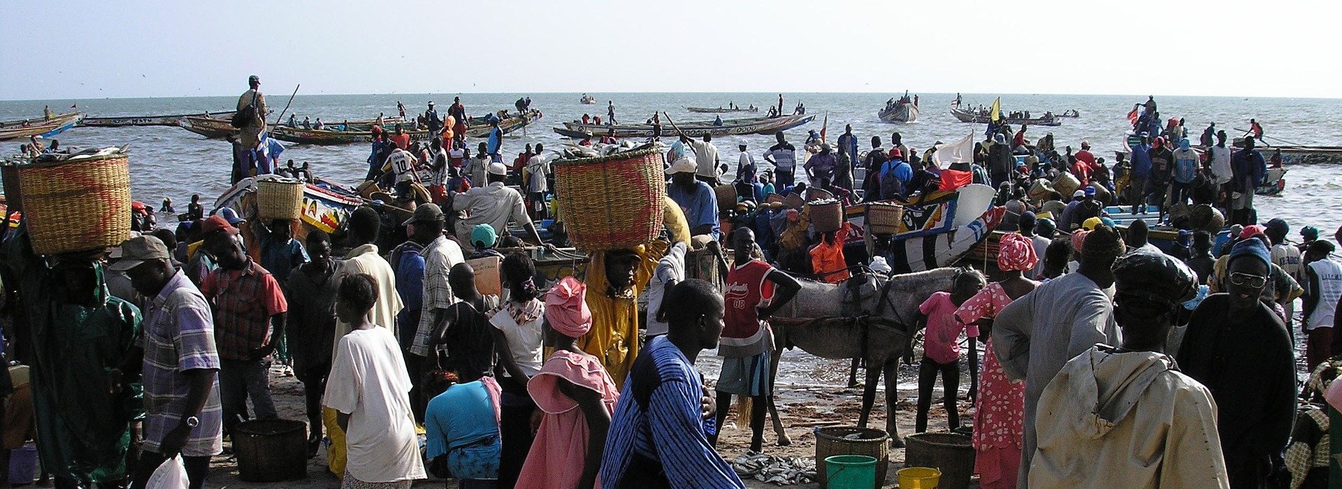 Visiter Djifer - Sénégal