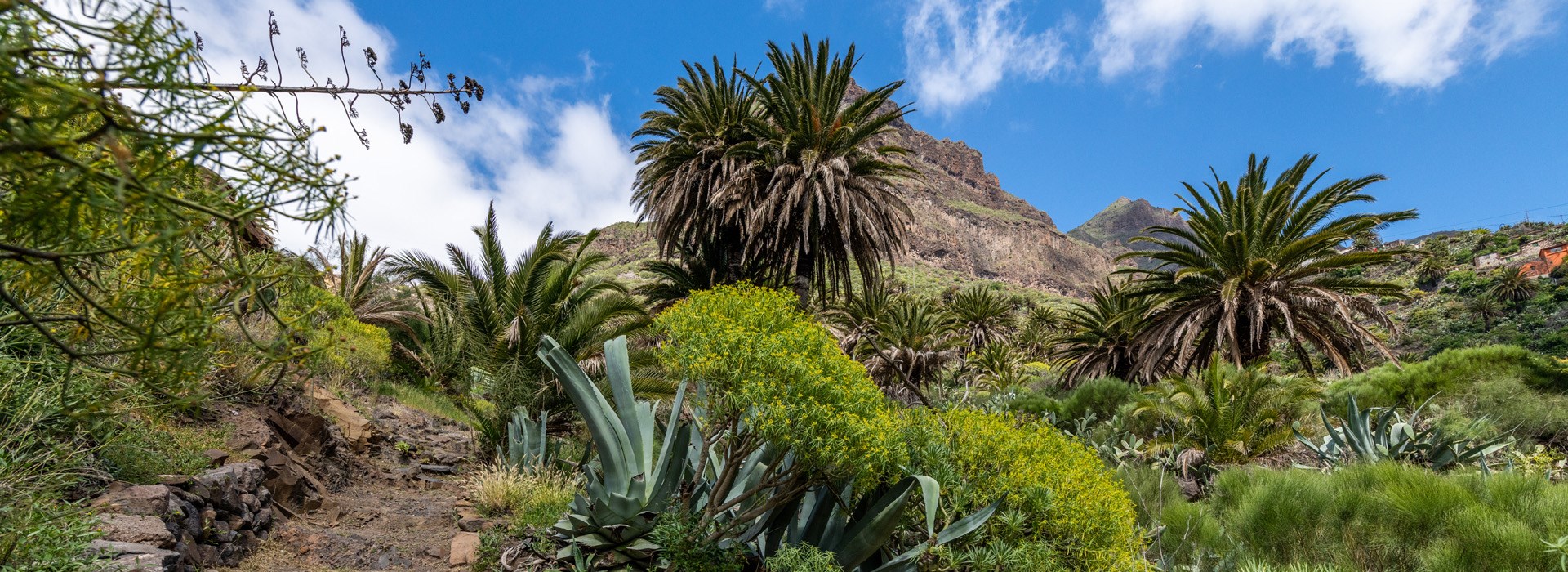 Visiter Le Parc rural du Teno - Canaries