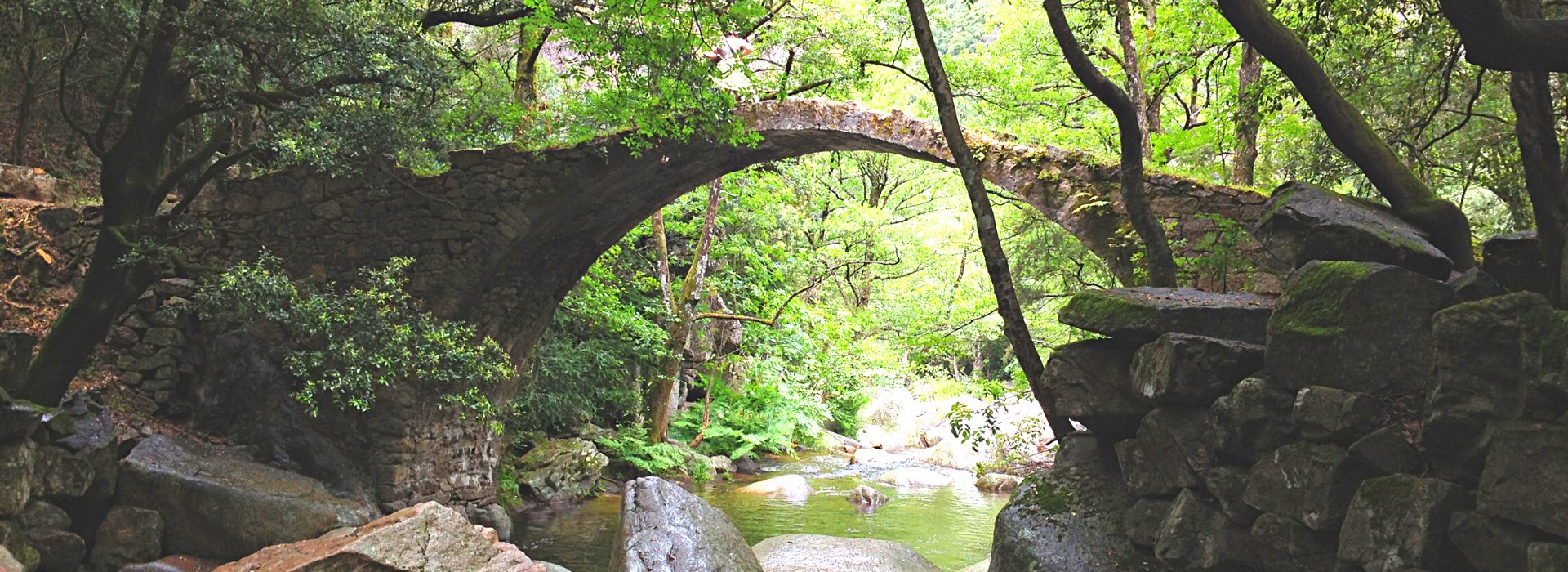 Visiter les gorges de Spelonca - Corse