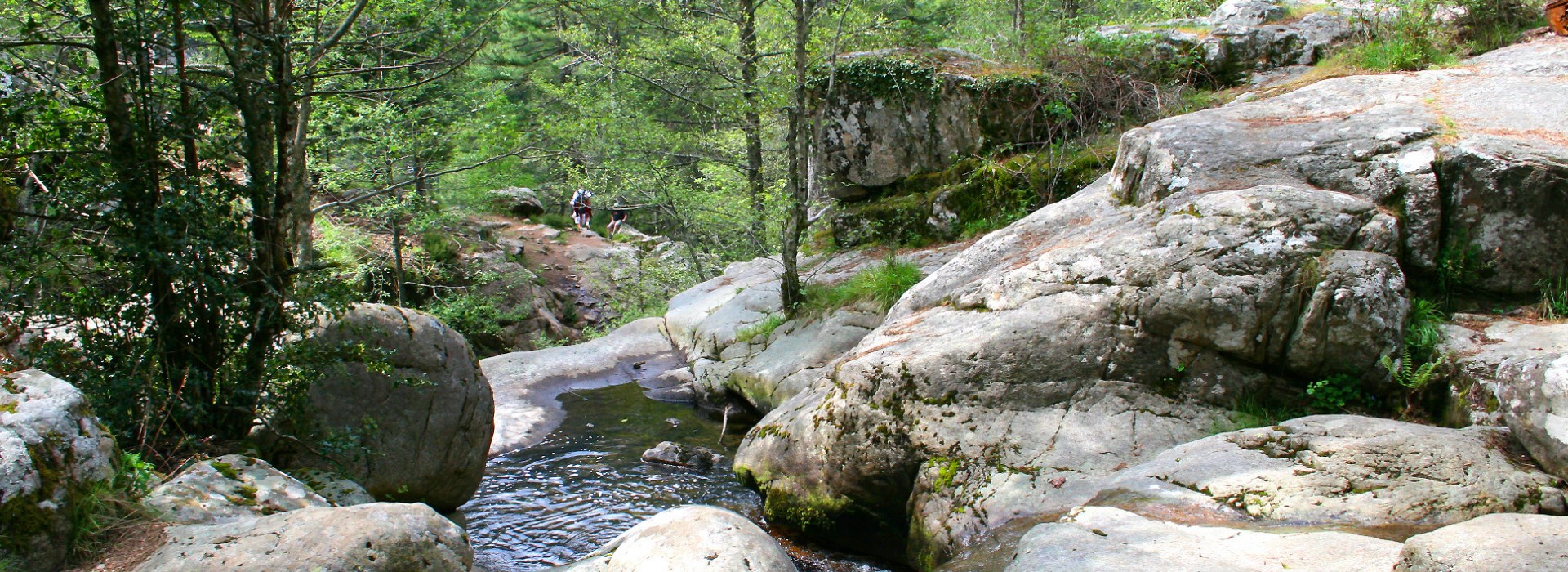 Visiter la forêt d'Aïtone - Corse