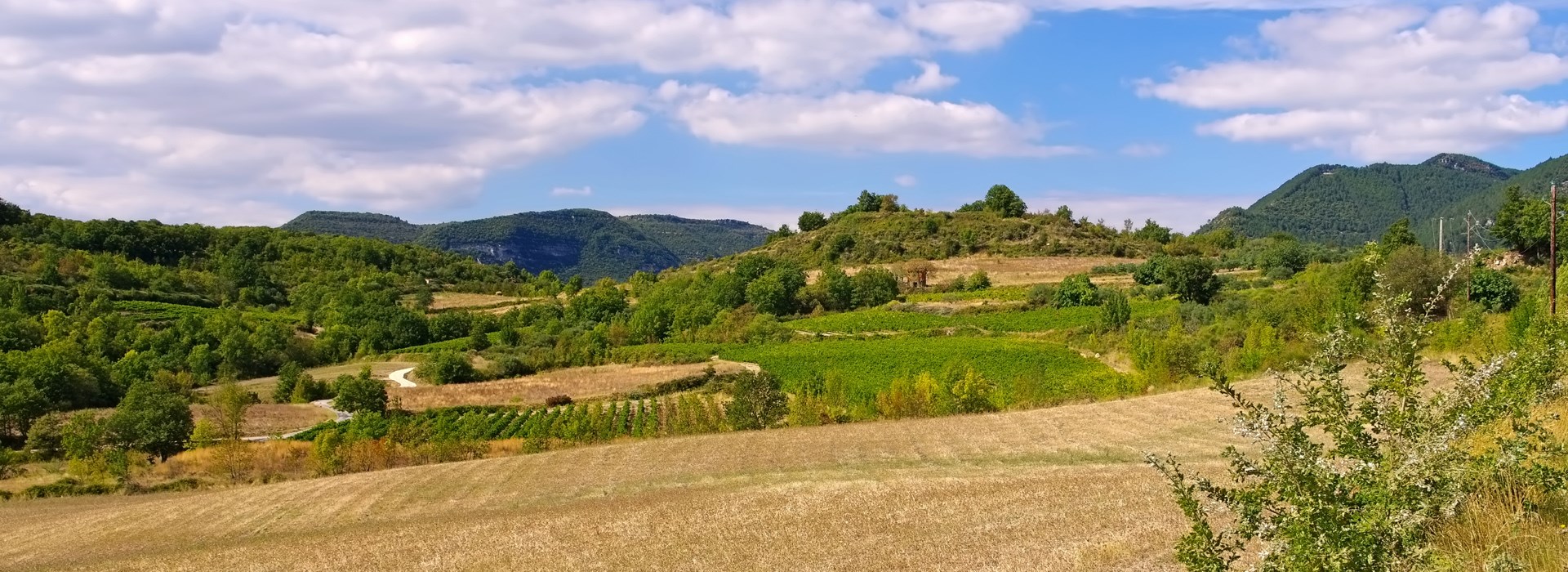 Visiter Le plateau du Larzac - Occitanie